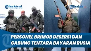 Desersi dan Gabung Tentara Bayaran Rusia, Personel Brimob Polda Aceh Resmi Dipecat