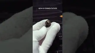 Бусина темлячная Black Raven Фугу