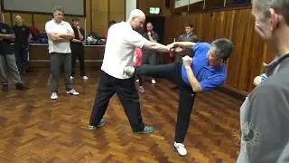 Wing Chun Kicking pt2