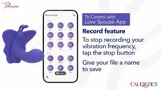Connect Venus Butterfly by CalExotics | App-Controlled Rechargeable Toy Demo