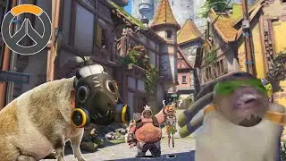 Clips rancios de roadhog