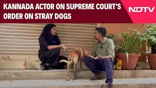 Stray Dog News | Kannada Actor On SC's Order On Stray Dogs: 