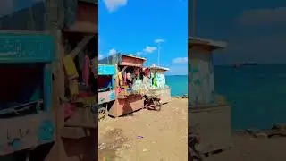 Karachi Best Fishing Point #pk #fishing #catchingfish #beach (@dandiyafishing)🐟