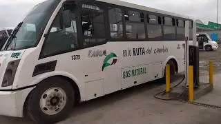 Dina Runner 9G