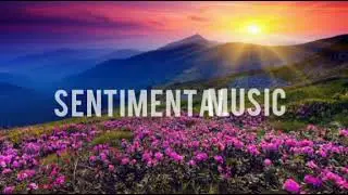 1 Hour Beautiful Piano Music for Stress Relief #sentimentalmusic #relaxing