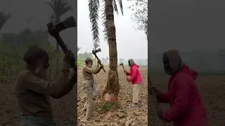 চাচা গাছ কাটার মাস্টার। Tree cutting master #shorts #funny #tree #viral #trending #foryou