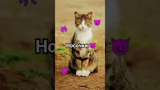 😈😈😈👾👾👾