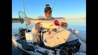 Lake Somerville | Small Bait Catches BIG FISH While Crappie Fishing | Multi-species Day!