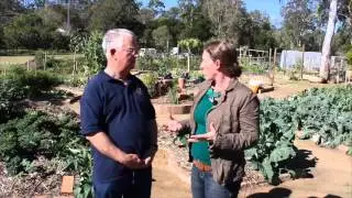 Rochdale Community garden part 1 of 2