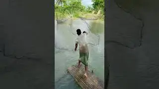 Village people fishing with net #fishing #netfishing #shorts