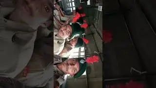 Deen Dayal Upadhyaya Gorakhpur University (NCC)
