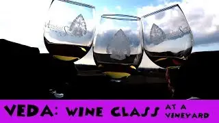 VEDA // Wine Class at a Vineyard 🥂