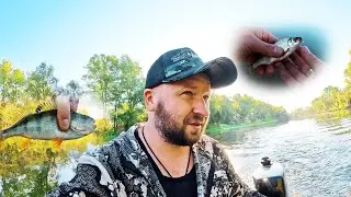 МикроРыбалка с CF Nano zero air на шнуре DUEL THE ONE PF NEW 0.1 и мормышками от Mormo Spin VORONEZH