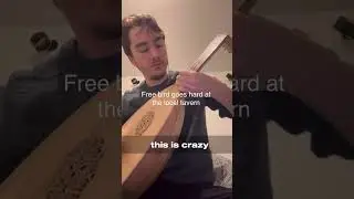 palying free bird on a lute (ig : danontheguitar)#music#lute #reebird #grooveoftheday