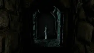 Skyrim SE: Favorite Scene from the Clockwork horror mod.