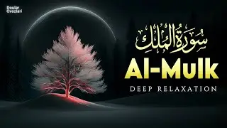 Let the Holy Quran Touch Your Heart and Soul | Peaceful Quran Recitation | ALAA YASER