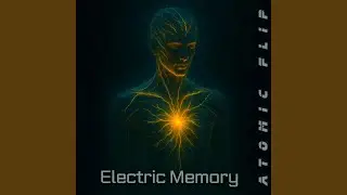 Electric Memory