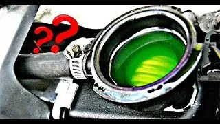 ANTIGEL | CE ESTE?