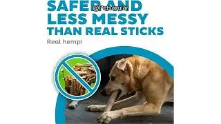 Outward Hound Dogwood Dog Chew Toys Review: Are They Worth the Hype for Your Pup?