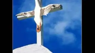 WWJD Easter Parody - Don't Be Cross- An Alternate View