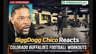 BiggDogg Chico Reaction : CU Buffs Workout