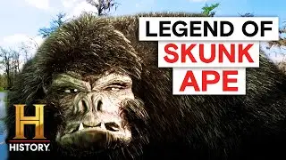 The Skunk Ape Wreaks Havoc on Florida (Season 1) | The Proof Is Out There | History