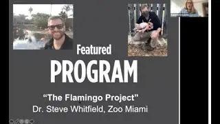 The Flamingo Project: Dr. Steven Whitfield, Conservation and Research Specialist, Zoo Miami
