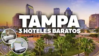 3 HOTELES BUENOS Y BARATOS EN TAMPA! Bien ubicados y cerca de todo!