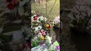 198.6 - Mt Peace Cemtery Special Request Update, St Cloud, Fl 