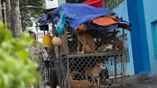TPHCM| Bà mẹ có 17 