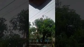 Suasana disebuah KAMPUNG❤❤ #videoshort #videoviral #videofyp