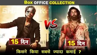 Animal vs Jawan Day 15 Official Box office Collections l Animal Collection Day 15 #animalcollection