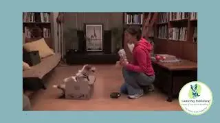 Training a Dog to Clean Up His Toys