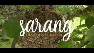 SARANG | Puisi Norman Adi Satria