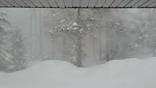 Late February snow storm at the Adirondack Domestead.