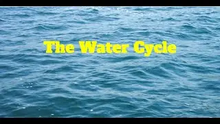 Water Cycle