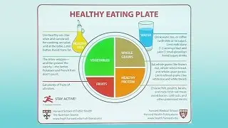 Nutrition and Women&rsquo;s Health: Making Sense of New Guidelines and the Cacophony of Expert Advice