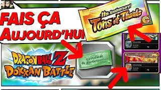 Je n'ai plus de DS... Que faire pendant l'anniversaire ? DOKKAN BATTLE