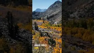 Fall Foliage Beauty in Aspendell California during Fall Season #shorts