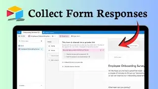 How to create a survey in Airtable (Data Gathered)