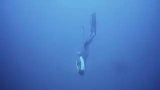 SSI Freediving Level 1 course