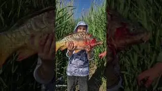 #beats #funk #memes #remix #fishing #рыбалканафидер #carpfishing #ловляхариуса