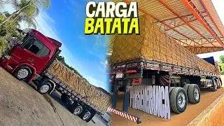 CARREGAMENTO DA BATATA NO INTERIOR, QUE CARGA TOP QUE FICOU ESSA !!!! 😍