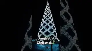 Longleat really know how to put on a Christmas Tree Show! 🎄#shorts #longleat #christmas