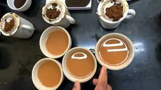 TEA TASTING OF 2ND FLUSH (नियमित रूप से उपलब्ध चाय का परीक्षण)