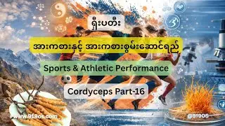 Cordyceps ရှီးပတီး Part-16 | Sports & Athletic Performance | Energy, Endurance & Recovery Boost