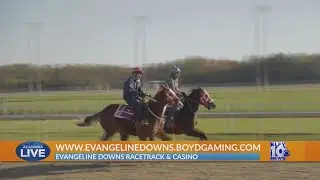 Racing Is Back At Evangeline Downs