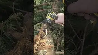 Versatile Dewalt cut off tool #shorts