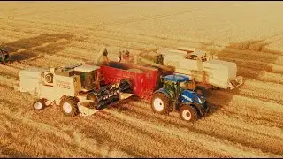 [DRONE 4K] Moisson Blé 2020 dans l'Oise , 2x Moissonneuses New Holland #Drone #4K