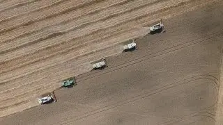 Recoltarea graului la Agri Padana Romania, Wheat Harvest Romania